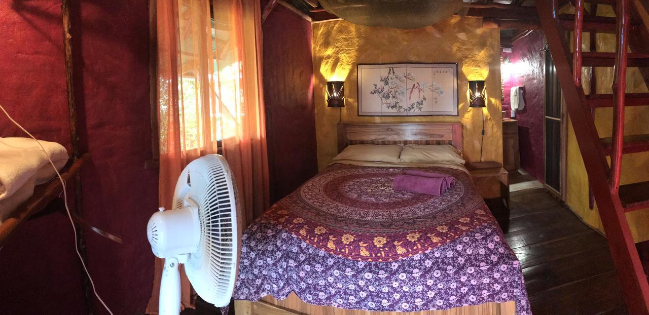 Free Spirit Oasis Hotel Bocas del Toro Buitenkant foto