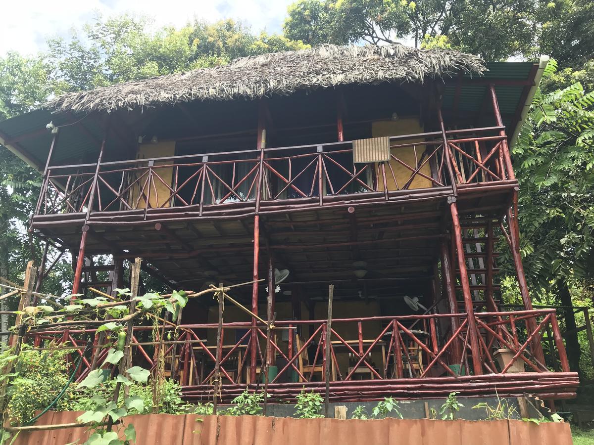 Free Spirit Oasis Hotel Bocas del Toro Buitenkant foto